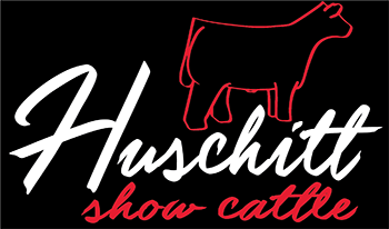 Huschitt Show Cattle